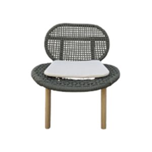 Danielle rattan with cushion