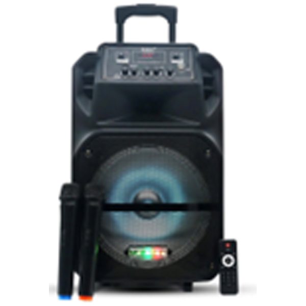 IKON speaker